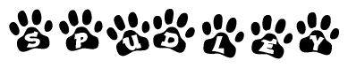 The image shows a series of animal paw prints arranged in a horizontal line. Each paw print contains a letter, and together they spell out the word Spudley.