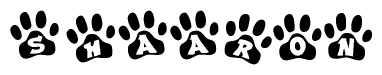 The image shows a series of animal paw prints arranged in a horizontal line. Each paw print contains a letter, and together they spell out the word Shaaron.