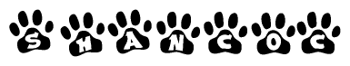 The image shows a series of animal paw prints arranged horizontally. Within each paw print, there's a letter; together they spell Shancoc