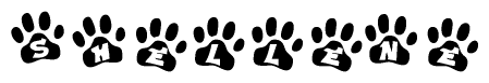 The image shows a series of animal paw prints arranged in a horizontal line. Each paw print contains a letter, and together they spell out the word Shellene.