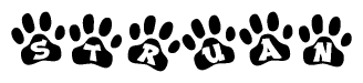 Animal Paw Prints with Struan Lettering