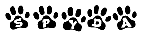 Animal Paw Prints with Spyda Lettering