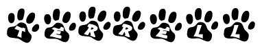 The image shows a series of animal paw prints arranged in a horizontal line. Each paw print contains a letter, and together they spell out the word Terrell.