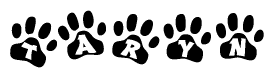 The image shows a row of animal paw prints, each containing a letter. The letters spell out the word Taryn within the paw prints.