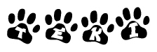 The image shows a series of animal paw prints arranged horizontally. Within each paw print, there's a letter; together they spell Teki