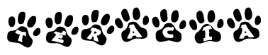 The image shows a series of animal paw prints arranged in a horizontal line. Each paw print contains a letter, and together they spell out the word Teracia.