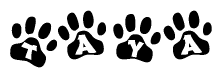 The image shows a row of animal paw prints, each containing a letter. The letters spell out the word Taya within the paw prints.