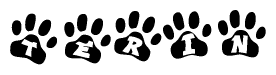 The image shows a row of animal paw prints, each containing a letter. The letters spell out the word Terin within the paw prints.