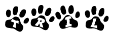 The image shows a series of animal paw prints arranged horizontally. Within each paw print, there's a letter; together they spell Tril