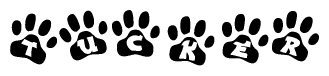 The image shows a series of animal paw prints arranged horizontally. Within each paw print, there's a letter; together they spell Tucker