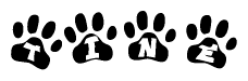 The image shows a row of animal paw prints, each containing a letter. The letters spell out the word Tine within the paw prints.