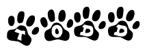 The image shows a series of animal paw prints arranged horizontally. Within each paw print, there's a letter; together they spell Todd