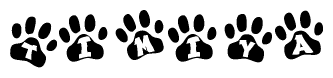The image shows a series of animal paw prints arranged in a horizontal line. Each paw print contains a letter, and together they spell out the word Timiya.