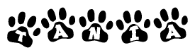 The image shows a row of animal paw prints, each containing a letter. The letters spell out the word Tania within the paw prints.