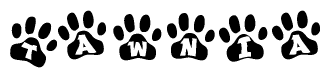 The image shows a series of animal paw prints arranged in a horizontal line. Each paw print contains a letter, and together they spell out the word Tawnia.