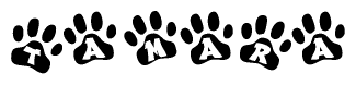 The image shows a series of animal paw prints arranged in a horizontal line. Each paw print contains a letter, and together they spell out the word Tamara.