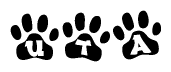 The image shows a series of animal paw prints arranged in a horizontal line. Each paw print contains a letter, and together they spell out the word Uta.