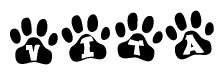 The image shows a series of animal paw prints arranged in a horizontal line. Each paw print contains a letter, and together they spell out the word Vita.