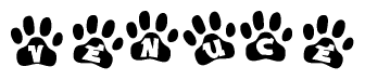 The image shows a series of animal paw prints arranged horizontally. Within each paw print, there's a letter; together they spell Venuce