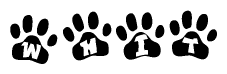 The image shows a series of animal paw prints arranged in a horizontal line. Each paw print contains a letter, and together they spell out the word Whit.