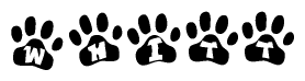 The image shows a series of animal paw prints arranged horizontally. Within each paw print, there's a letter; together they spell Whitt