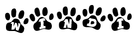 The image shows a series of animal paw prints arranged in a horizontal line. Each paw print contains a letter, and together they spell out the word Windi.