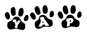 The image shows a row of animal paw prints, each containing a letter. The letters spell out the word Yap within the paw prints.