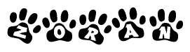 The image shows a series of animal paw prints arranged in a horizontal line. Each paw print contains a letter, and together they spell out the word Zoran.