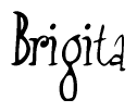 The image is of the word Brigita stylized in a cursive script.