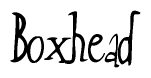 The image contains the word 'Boxhead' written in a cursive, stylized font.
