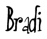 The image is of the word Bradi stylized in a cursive script.
