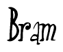 The image contains the word 'Bram' written in a cursive, stylized font.