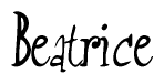 The image is of the word Beatrice stylized in a cursive script.