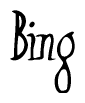 The image contains the word 'Bing' written in a cursive, stylized font.