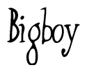 The image is a stylized text or script that reads 'Bigboy' in a cursive or calligraphic font.