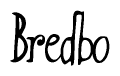 The image is a stylized text or script that reads 'Bredbo' in a cursive or calligraphic font.