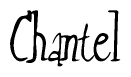 The image is of the word Chantel stylized in a cursive script.