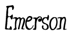 The image is of the word Emerson stylized in a cursive script.