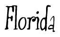 The image is of the word Florida stylized in a cursive script.