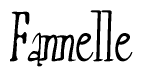 The image contains the word 'Fannelle' written in a cursive, stylized font.