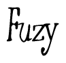 The image contains the word 'Fuzy' written in a cursive, stylized font.