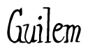 The image contains the word 'Guilem' written in a cursive, stylized font.