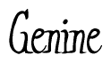 The image contains the word 'Genine' written in a cursive, stylized font.