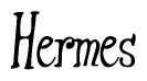 The image is a stylized text or script that reads 'Hermes' in a cursive or calligraphic font.