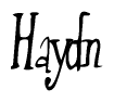 The image contains the word 'Haydn' written in a cursive, stylized font.