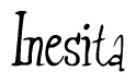 The image is a stylized text or script that reads 'Inesita' in a cursive or calligraphic font.