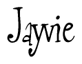 The image is of the word Jayvie stylized in a cursive script.
