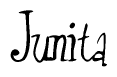 The image contains the word 'Junita' written in a cursive, stylized font.