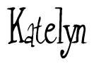 The image is a stylized text or script that reads 'Katelyn' in a cursive or calligraphic font.