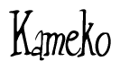 The image contains the word 'Kameko' written in a cursive, stylized font.